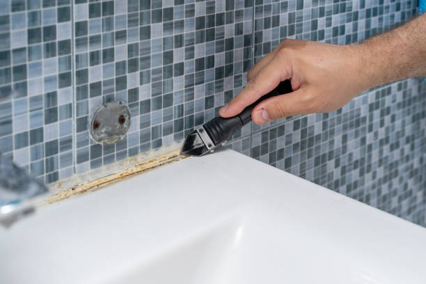 Best White Mold Remediation in Bellevue, WI