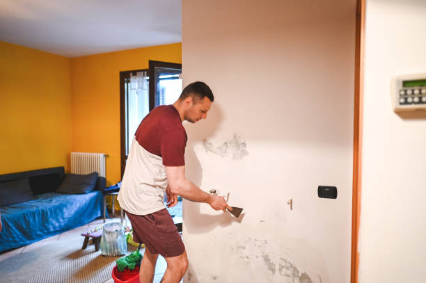 Best Localized Mold Remediation (e.g., coastal areas, humid climates) in Bellevue, WI